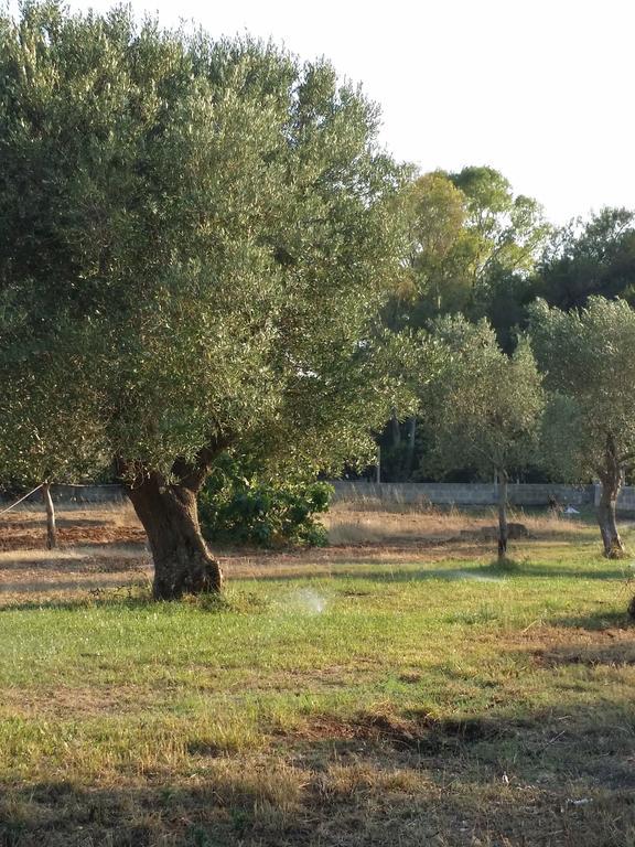 Agriturismo "Terra D'Ulivi" Βίλα Porto Cesareo Εξωτερικό φωτογραφία